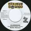 RICHIE STEPHENS glasshouse / give you my heart