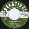 DAVID HINDS (STEEL PULSE) jah vengeance / BDF &amp; DUB TERROR virtual dubbing