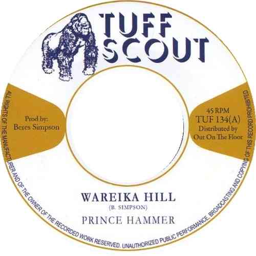 PRINCE HAMMER wareika hill / flabba's dub