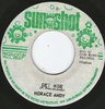 HORACE ANDY get wise / SUNSHOT BAND wiser dub