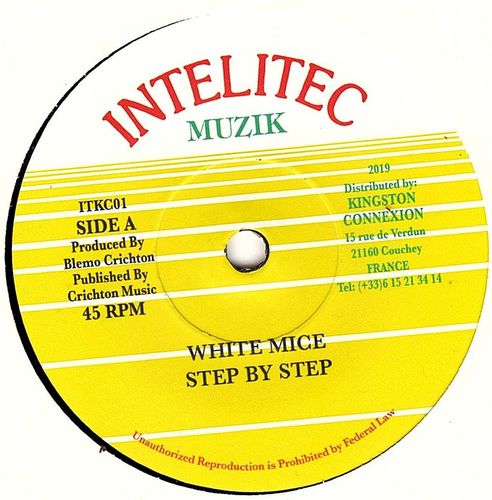 WHITE MICE Step By Step