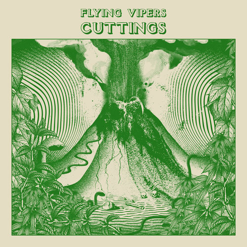 FLYING VIPERS Cuttings